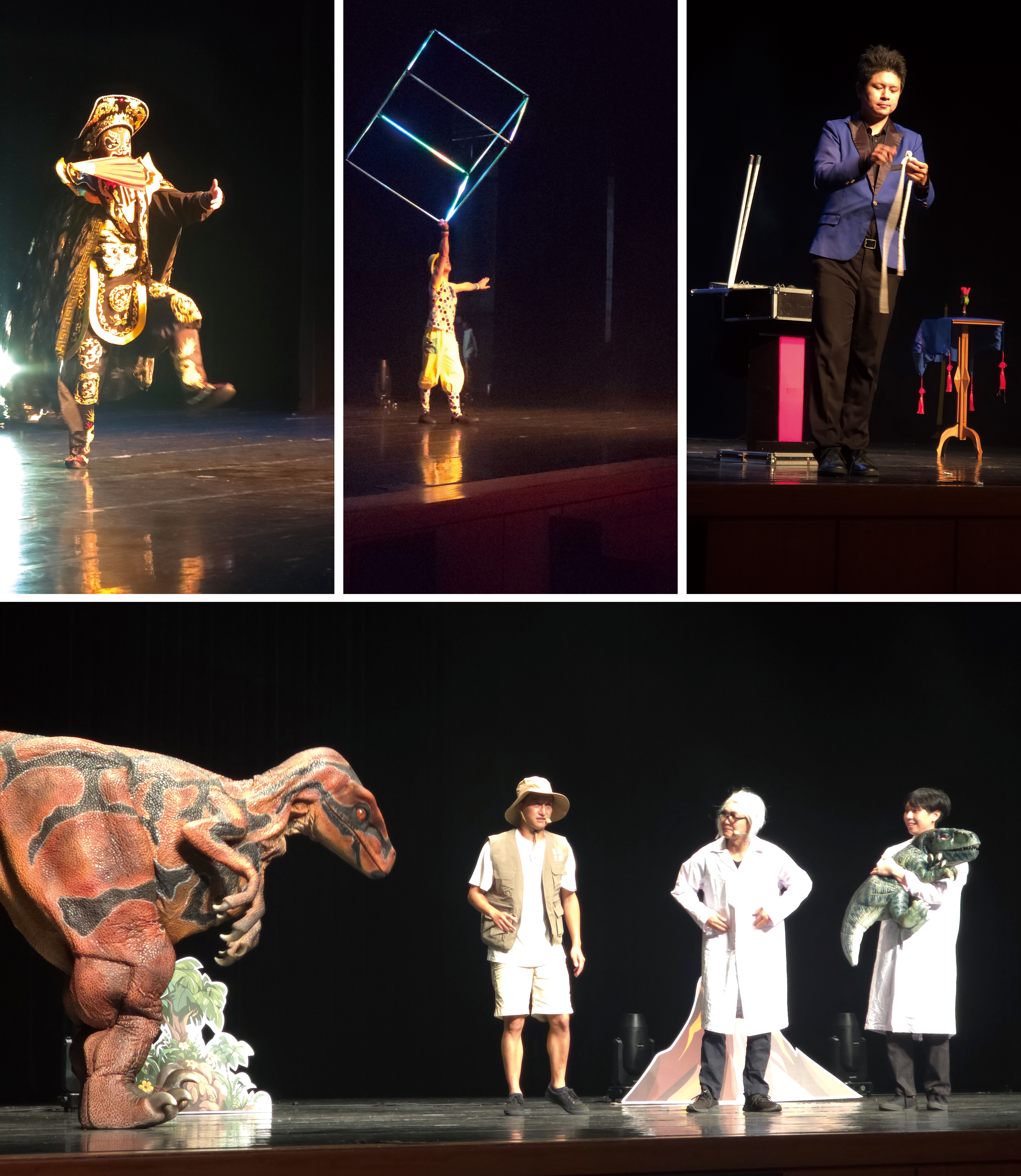 炫光舞、變臉、馬戲團、魔術表演及恐龍秀，現場熱鬧的氛圍，孩子們看的驚喜連連、笑聲不斷。