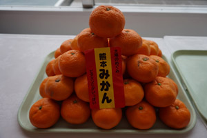 日本橘子