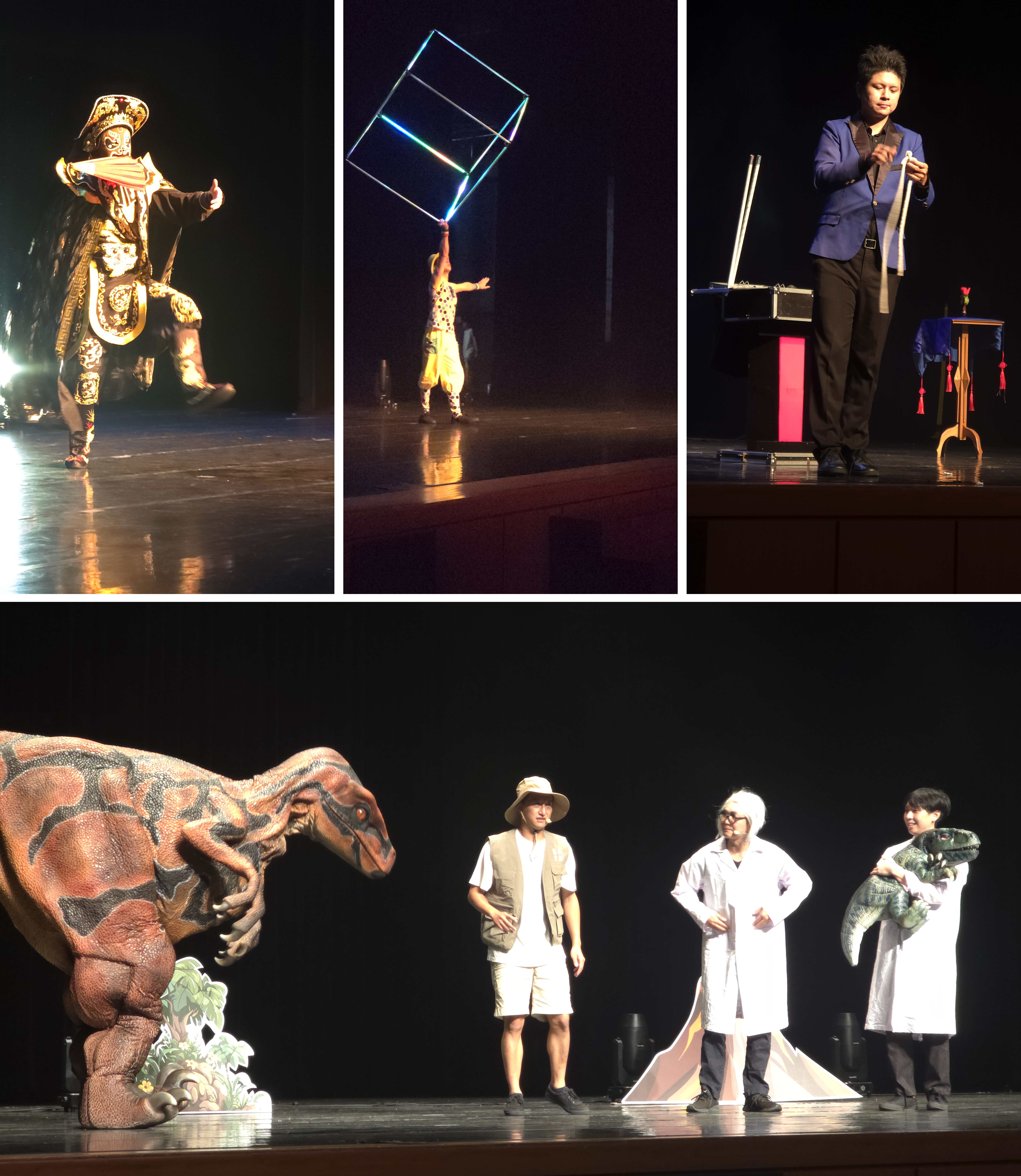 變臉、馬戲團、魔術表演及恐龍秀,現場熱鬧的氛圍,孩子們看的驚喜連連、笑聲不斷。