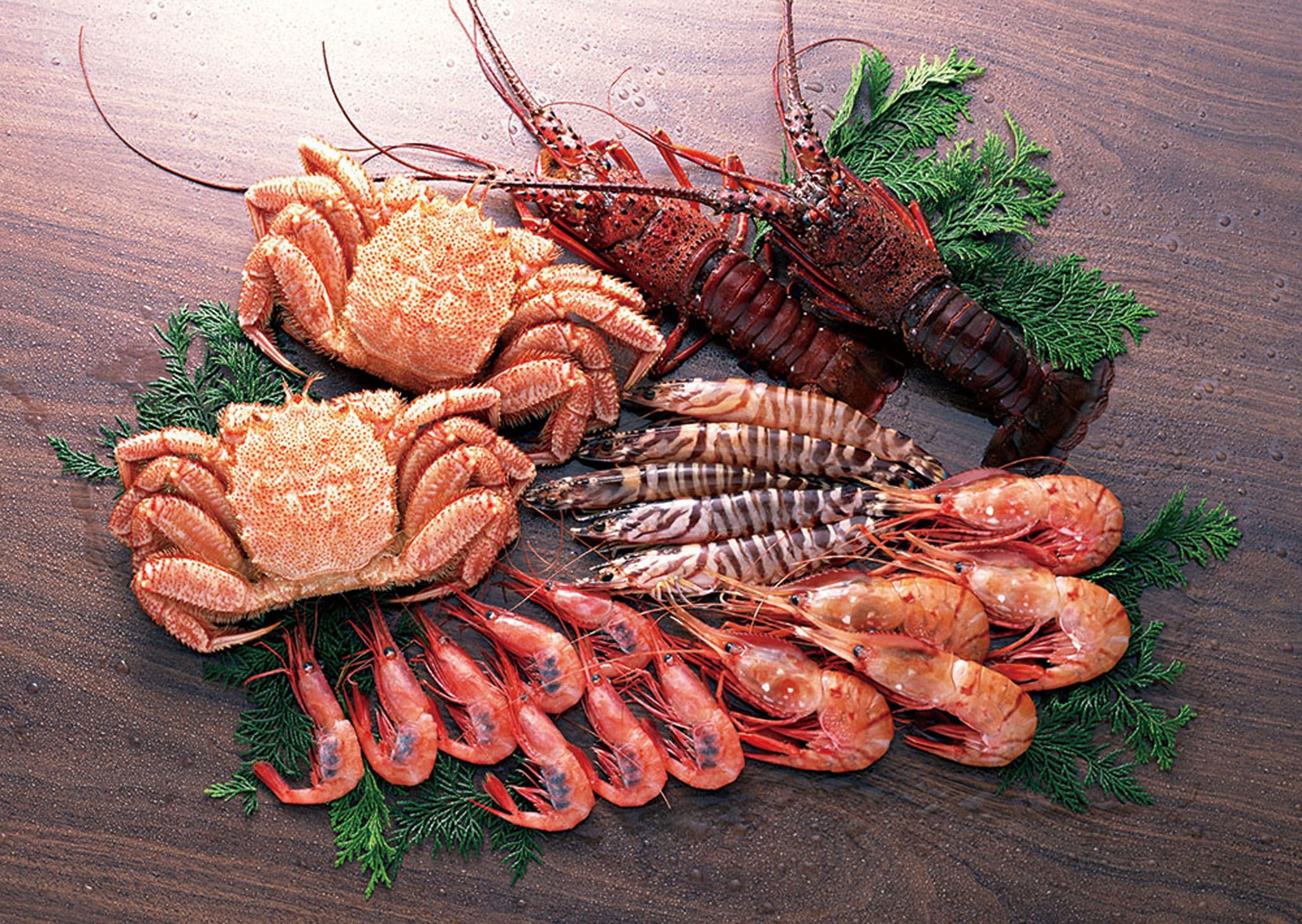 甲殼類動物等高膽固醇食物應適量。