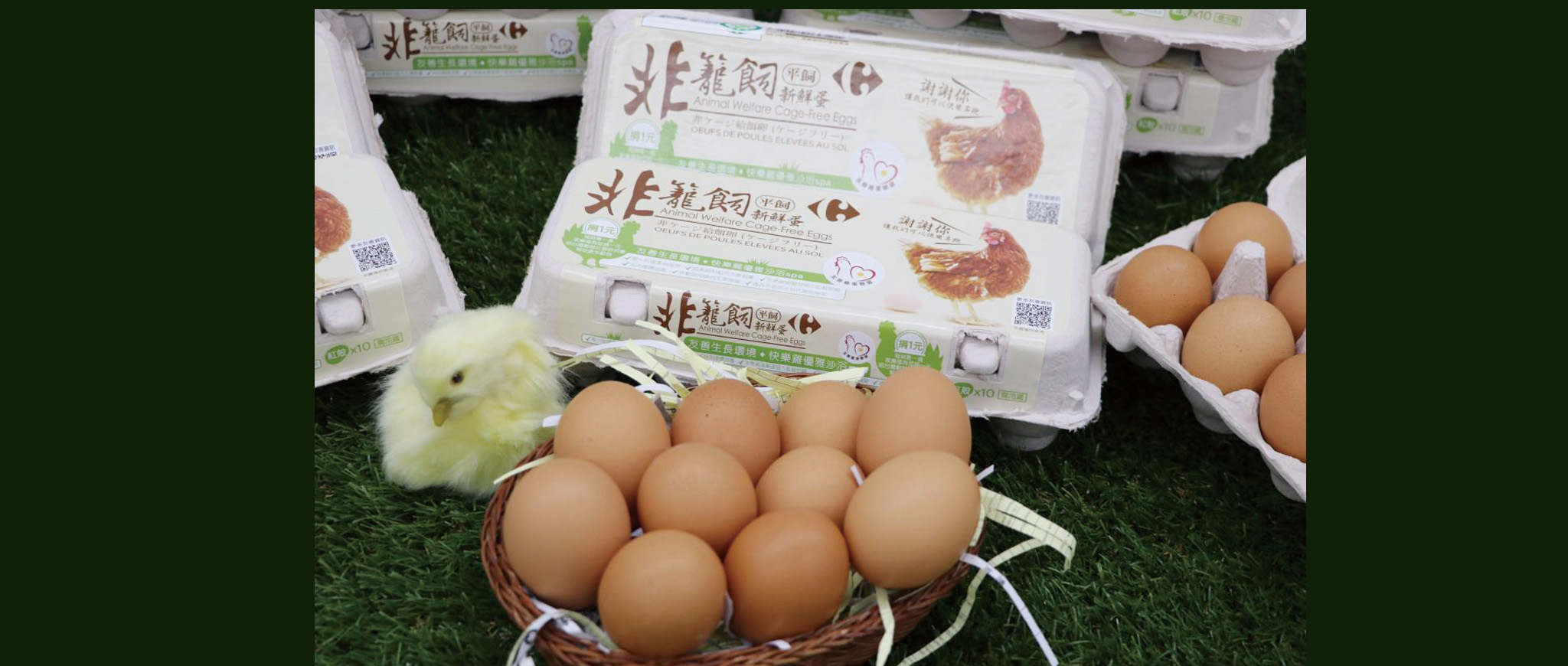 每購買一盒家樂福自有品牌非籠飼雞蛋，家樂福捐一元推動改善經濟動物福利！ （圖片來源/家樂福）