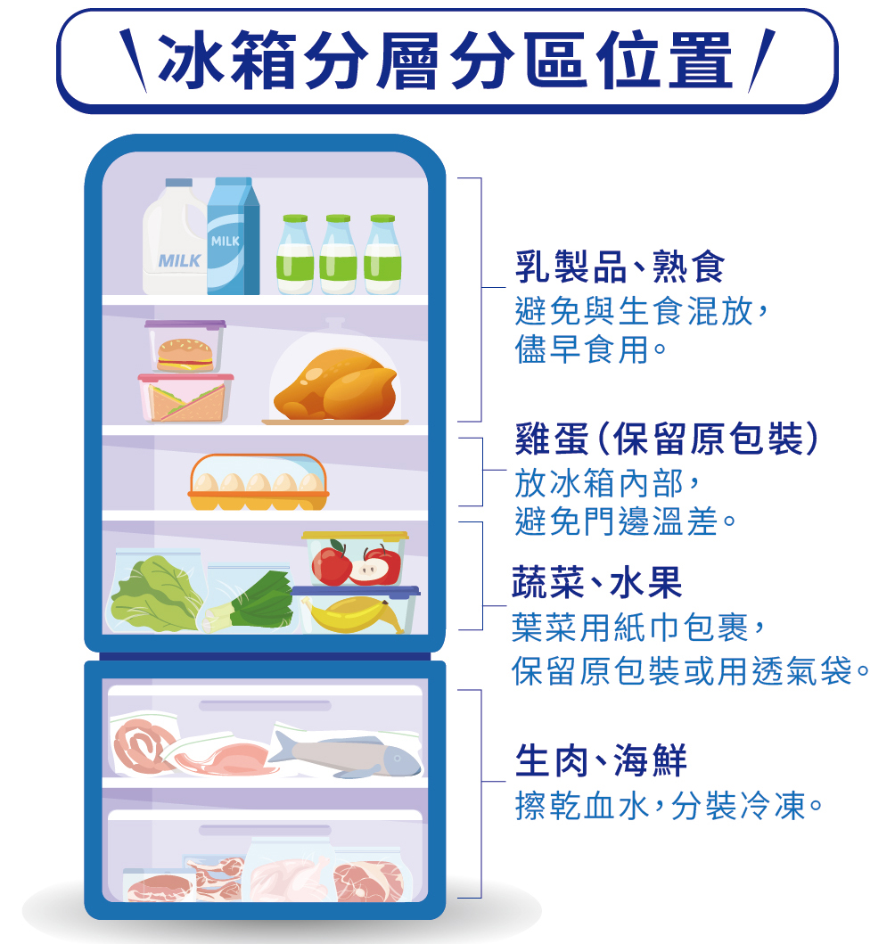 冰箱分層分區位置